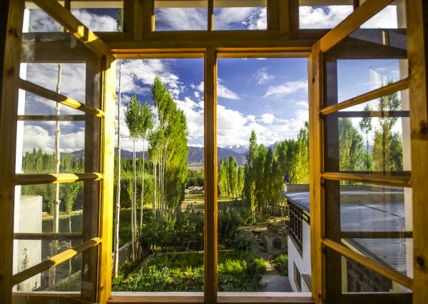 Cost of Wood Window Replacement in Winter Haven