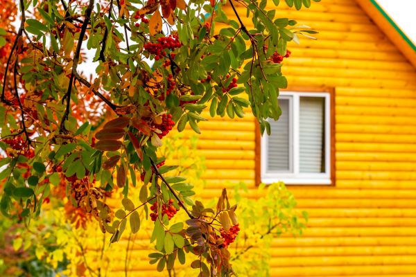 Cost of Garden Window Replacement in Winter Haven